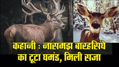 Story for Kids in Hindi : नासमझ बारहसिंघे का टूटा घमंड, मिली सजा