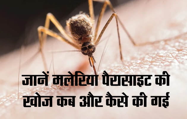Malaria : जानें मलेरिया पैरासाइट की खोज कब और कैसे की गई 