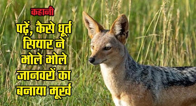 Story for Kids in Hindi: Story of the Sly Jackal