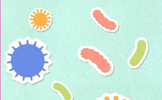 Disease causing Germs